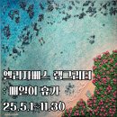 매일매일봄날 | 엘리자베스 랭그리터 : 매일이 휴가 전시회 후기
