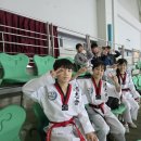 MJ태권도장 이미지