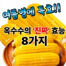 옥수수 효능 8 이미지