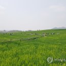 휘성농장 이미지