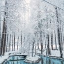 멍레스트 이미지