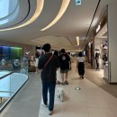 스타필드 수원 애견동반 쇼핑 - 몰리샵, 펫라운지, 펫파크, 스타필드 내 애견동반 가능 식당&카페 정보