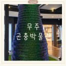 반디랜드 제2주차장 야외 | 곤충러버 아이랑 무주 반디랜드 곤충박물관 후기 (+맛집 추천)