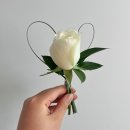 [결혼준비] 의정부 투데이플라워 본식 부케_마릴린먼로 부케 후기