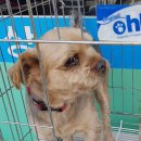 문경가축병원 이미지