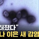 [변종 엠폭스(원숭이두창) - 하늘이 경고하신 에이즈보다 무서운 전세계 전염병!] 또 터졌다...코로나 이은 새 감염병 이미지