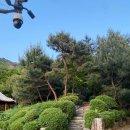 뻥튀기공원 | 용마산 등산코스 (용마산역 ~ 뻥튀기공원 ~ 정상 ~ 원점회귀) 등산 후기