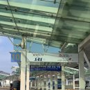 시티항공여행사주 | 델타항공 A350-900 후기 솔트레이크시티 환승부터 미국 입국심사까지✈️
