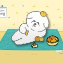 행복펫메이트 네이버블로그