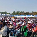 고대2리경로당 충청타임즈