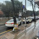 중국동포행정사사무소 이미지