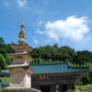 표충사 2 이미지