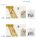 안단테 20기 강습 계획표 이미지