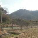 달돋이마을 이미지