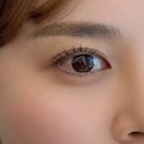 브로우코드 속눈썹&눈썹 이미지