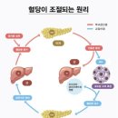제이바디짐 이미지