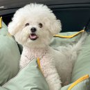 비슬로481길 이미지