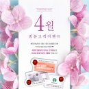 바로연결혼정보 이미지