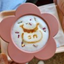 [강아지랑 제주도 여행] #5 새별오름, 애월, 피오카페