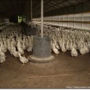 태호농장 이미지