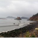 토말하우스 이미지