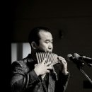 팬플룻 Daum카페