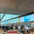 대한카서비스 | 여행 준비기 - 항공&amp;숙소 예약하기/ETA&amp;세관신고서 작성하기/해피렌트카 픽드랍 서비스 후기/입국심사 후기