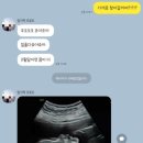 미드나잇소흘