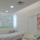 네트원 | 수술없이 가슴성형 이브라 효과 후기 / 가슴 커지는 법