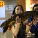 하이낚시
