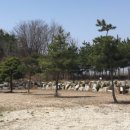 블루마린 캠핑장 이미지