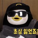 (주)이영바이오 | [키토제닉/저탄고지/당질제한식] 식단 6개월 후기 (feat. 우주대스타 펭수)