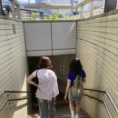 왔다 파크 이미지