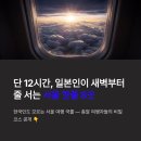 국제약국 | "한국인만 모르는 서울 여행 국룰? 일본인들이 새벽부터 줄 서는 의외의 핫스팟 BEST8"