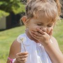 알레르기 이미지