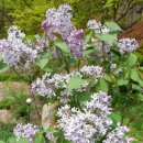 홍천팬션위드엘 이미지