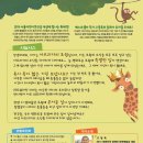목 짧은 기린 지피 Daum카페