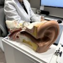 수완 탑 보청기 이미지