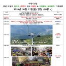 2026년 10월 11일(일) 당일 가을 정선 5일장 &amp; 가리왕산 케이블카체험 기차여행 이미지