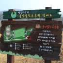 백곡저수지 친수공원 이미지