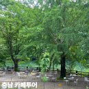 공주카페