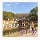 영상으로 떠나는 힐링 여행 수요반 | 부여 백제문화단지 부모님 여행 70대 시어머니와 함께한 효도여행 코스 후기