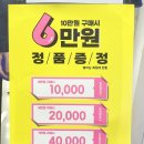 과천OMG 네이버블로그