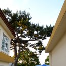 장전초등학교 병설유치원 이미지