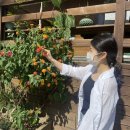 세종시 미용실 :: 다정동 새봄헤어 매직셋팅펌 3년차 방문