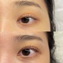 [뷰티]화정역 이에이: 속눈썹 파마로 자연스럽고 풍성한 눈매 완성! 일산속눈썹펌 화정역속눈썹펌 추천...