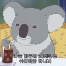 수족냉증, 안구건조증의 문제해결을 위한 씨에스티의 &#39;퍼펙트 바디&#39;