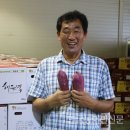 고창황토배기청정고구마연합 영농조합법인 한국농어민신문