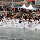 거제도국제펭귄수영축제 이미지