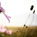 가족노래방 이미지